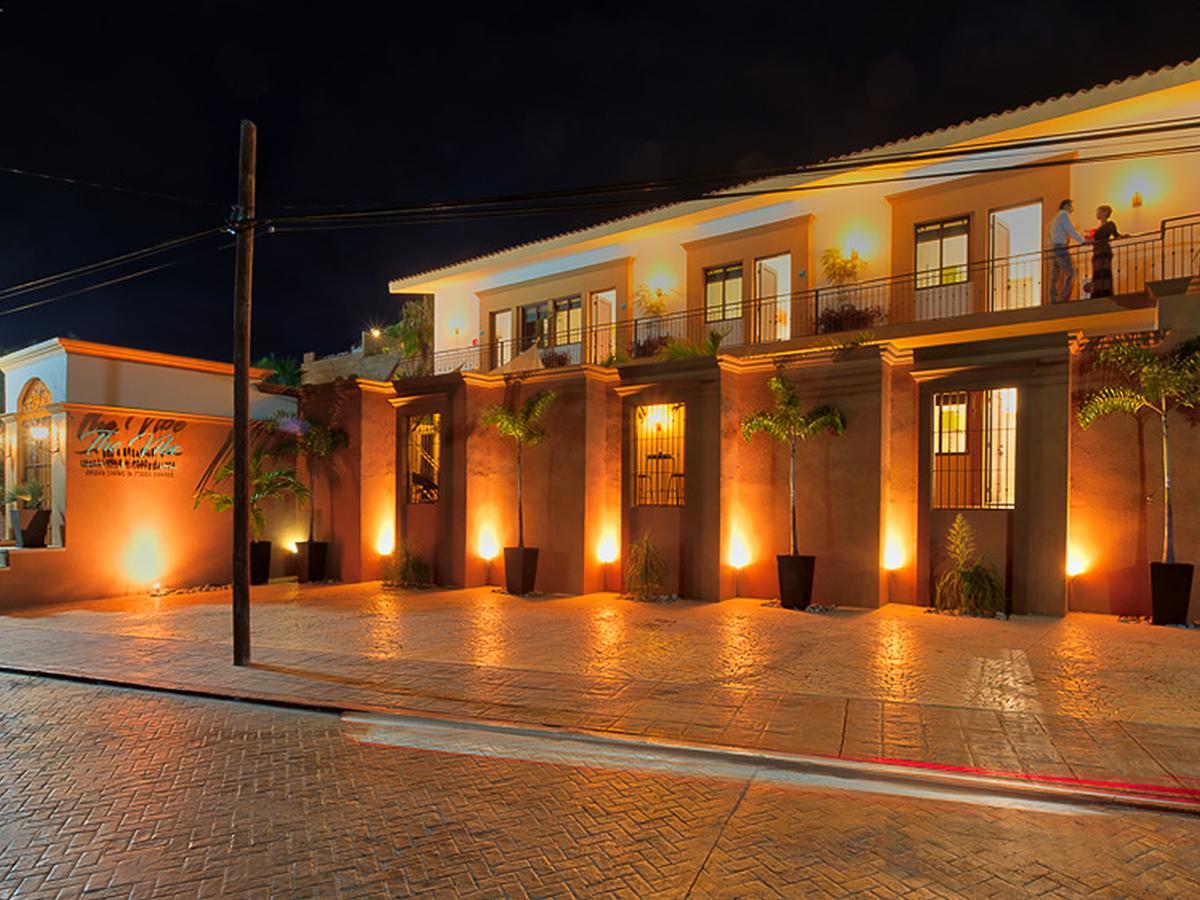 The Vibe Boutique Bed & Breakfast (Adults Only) Todos Santos Dış mekan fotoğraf